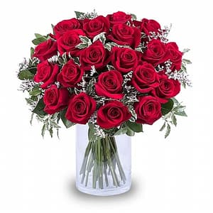 15 Red Roses in vase